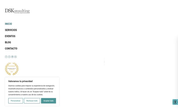 Screenshot von dskonsulting.es