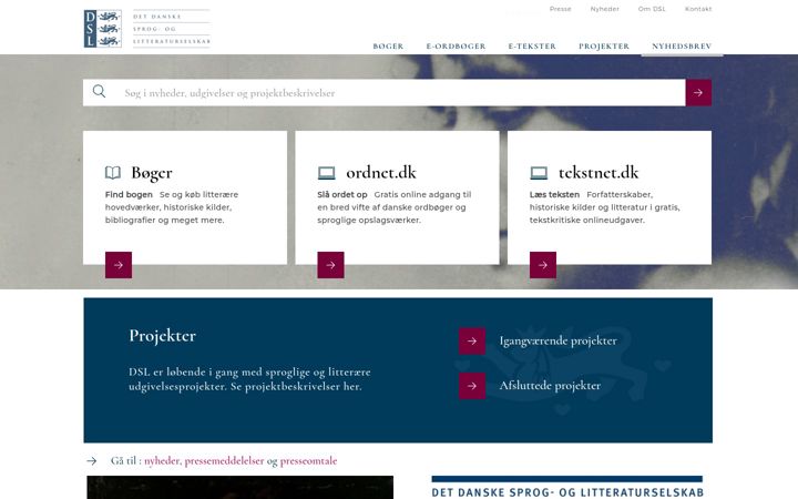 Screenshot του dsl.dk
