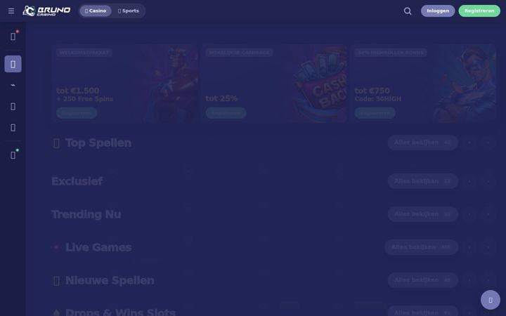 Screenshot di dslengua.nl