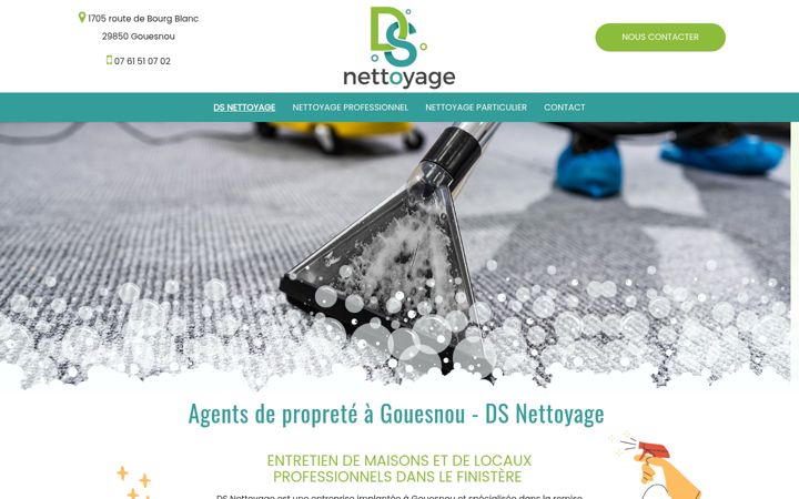 Screenshot ta' dsnettoyage.fr