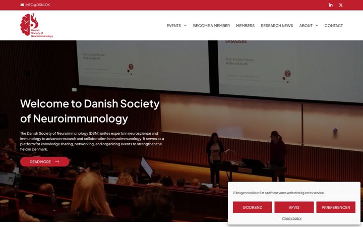 Screenshot του dsni.dk