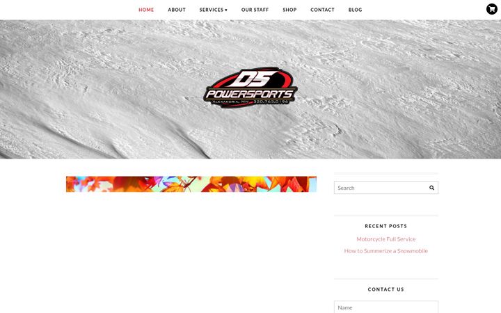Screenshot of dspowersports.com