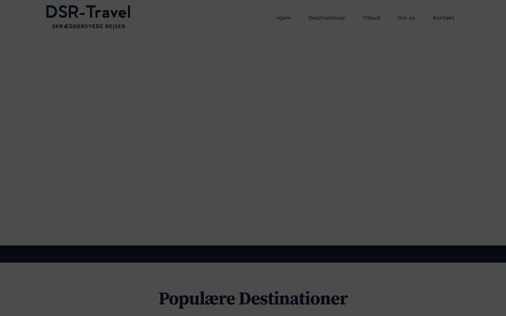 Screenshot of dsr-travel.com