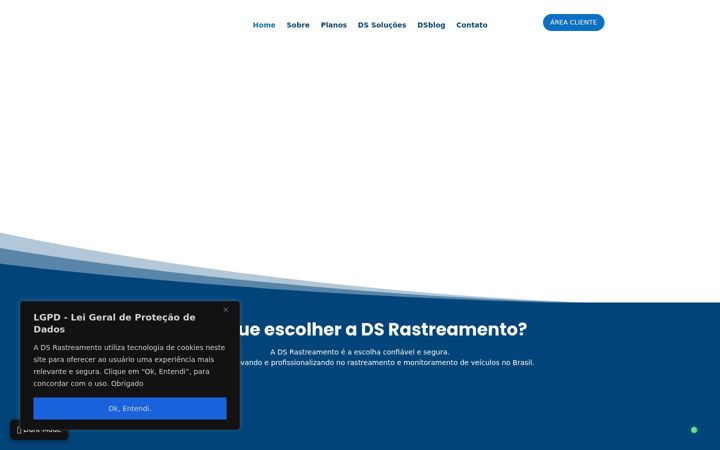 Screenshot van dsrastreamento.com.br