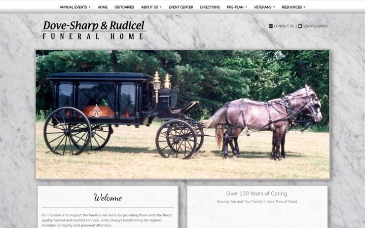 Screenshot of dsrudicel.com