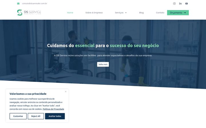 Képernyőkép: dsservicebr.com.br