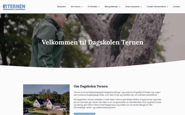 Screenshot του dsternen.dk