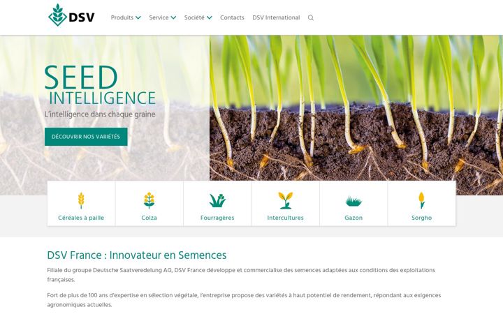 Screenshot ta' dsv-france.fr