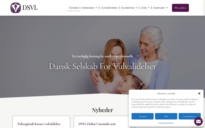 Screenshot του dsvl.dk