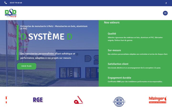 Screenshot ta' dsystemed.fr