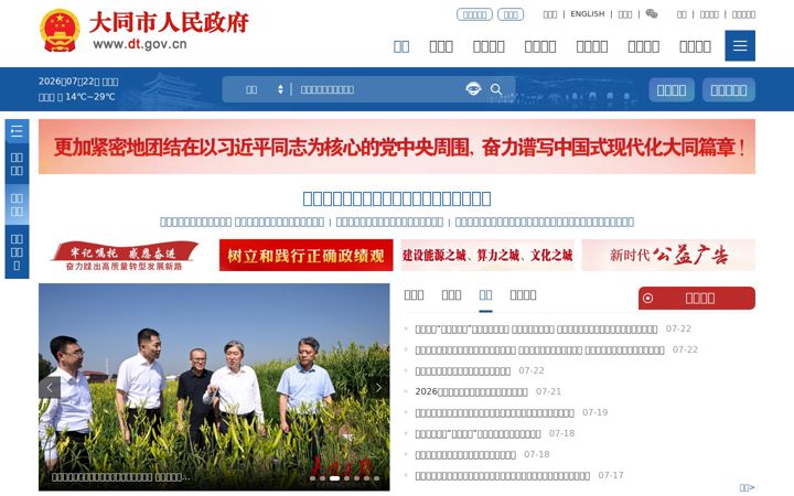 Screenshot of dt.gov.cn