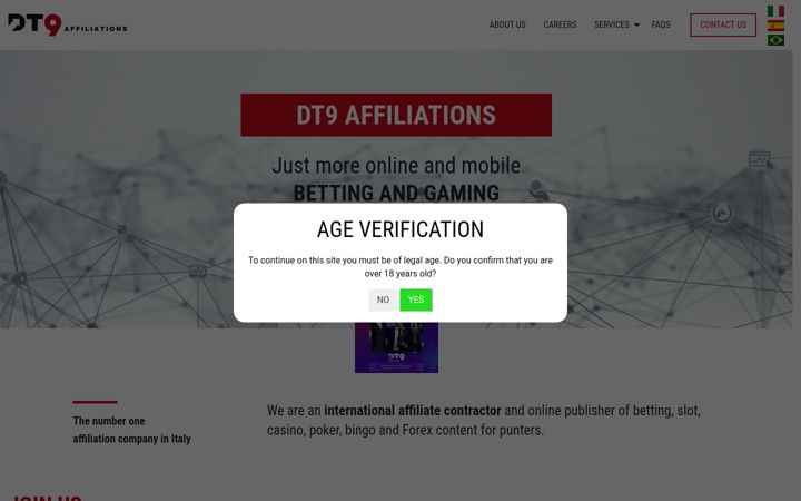 Screenshot of dt9affiliations.com