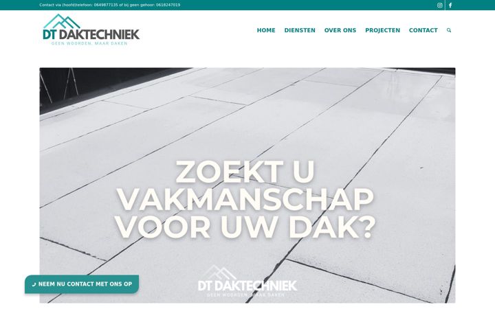 Screenshot di dtdaktechniek.nl