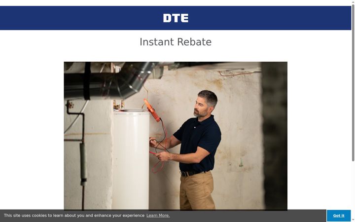 Screenshot of dteinstant.com