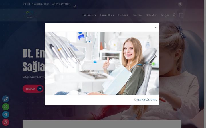 Screenshot of dtemelsaglam.com