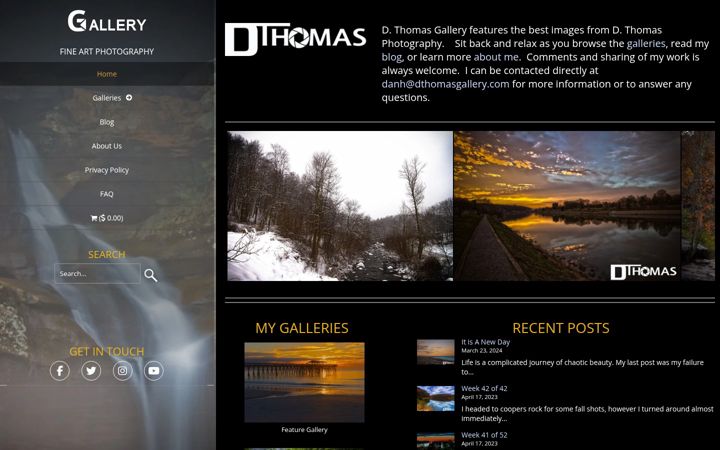 Screenshot of dthomasgallery.com