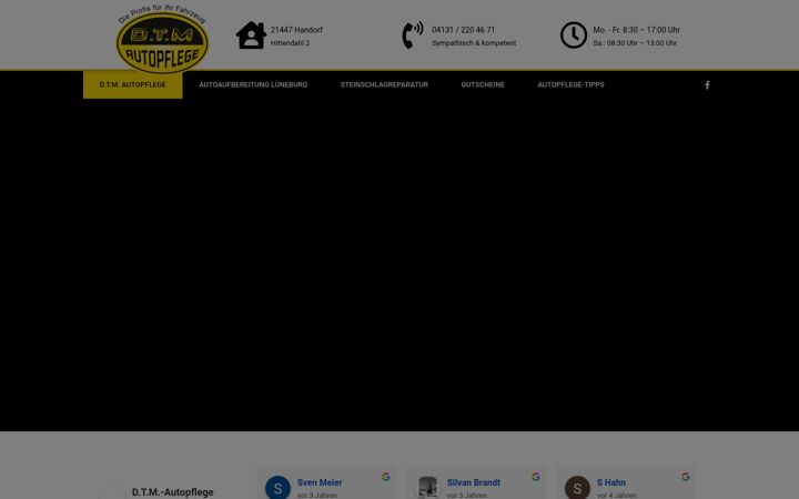 Screenshot ta' dtm-autopflege.de