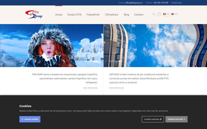 Screenshot of dtngroup.ro