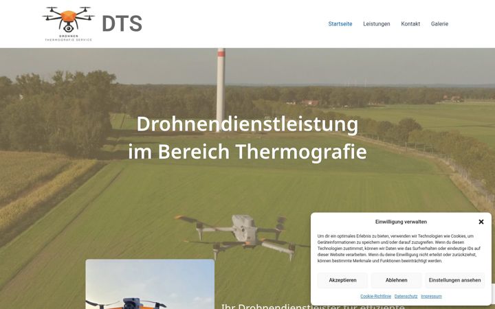 Screenshot of dts-dienstleistung.com