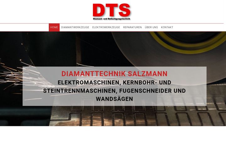 Screenshot of dts-salzmann.de