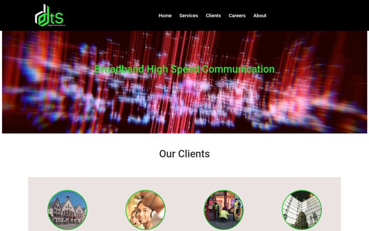 Screenshot of dts-sl.com