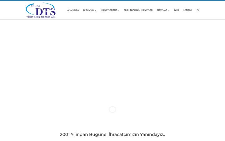 Screenshot of dtsdenizli.com
