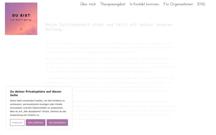 Ekraanipilt saidist du-bist-und-damit-genug.eu