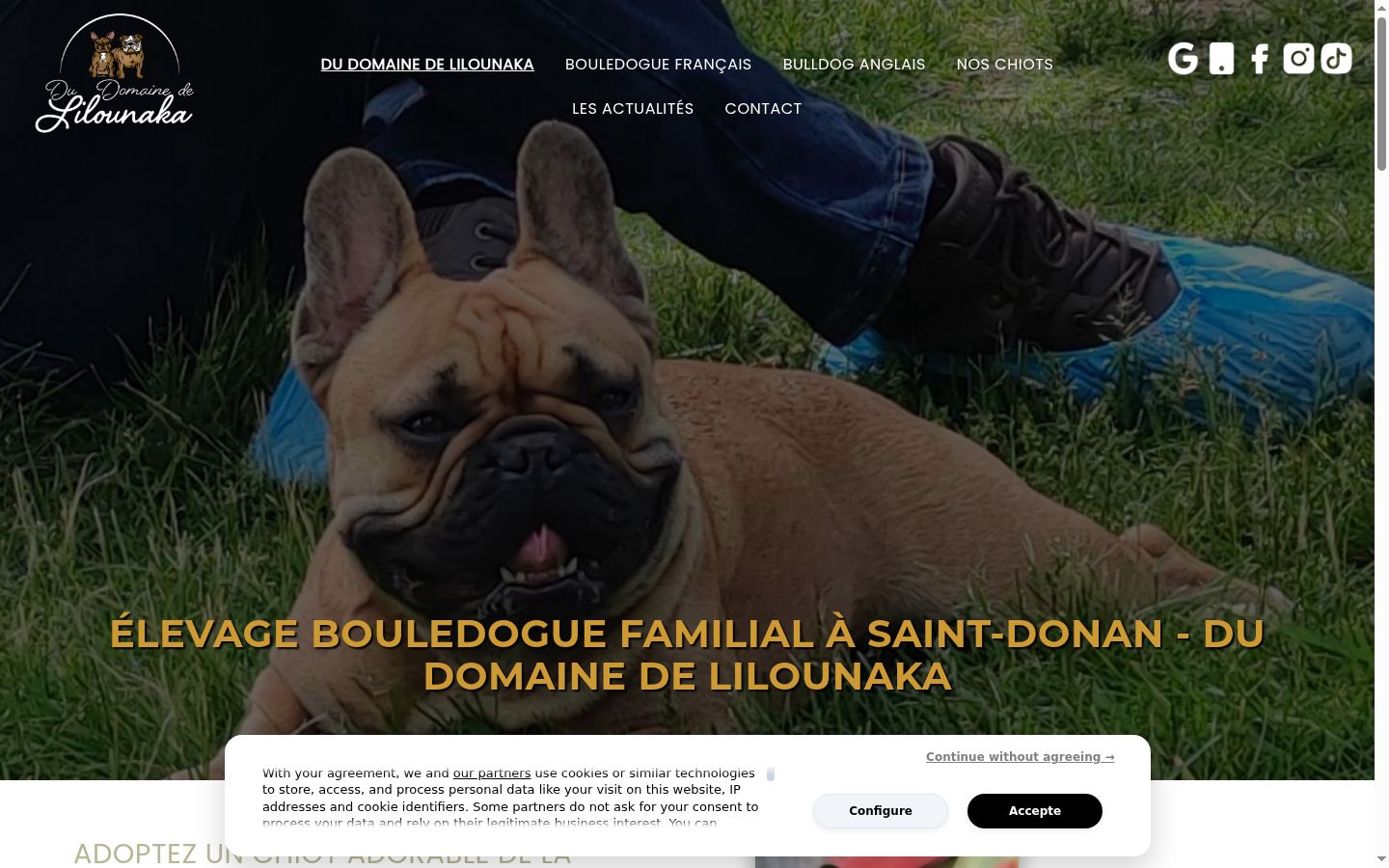 Kuvakaappaus suostumusbannerista, joka näytettiin ennen mitään vuorovaikutusta