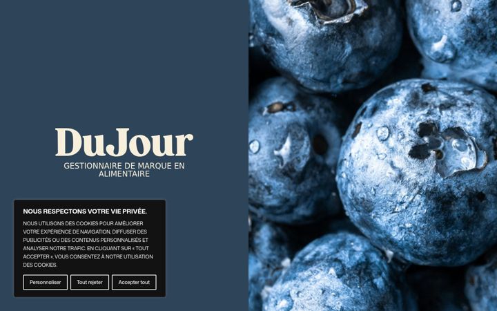 Screenshot of du-jour.com