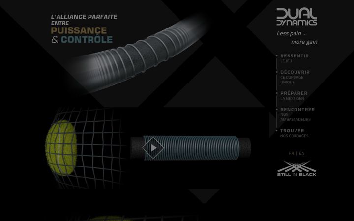 Screenshot of dual-dynamics.com