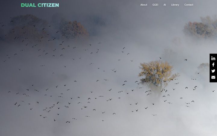 Screenshot of dualcitizeninc.com