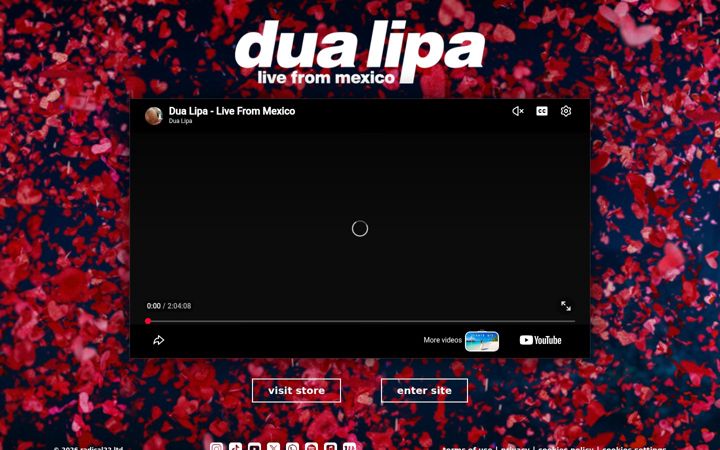 Screenshot of dualipa.de