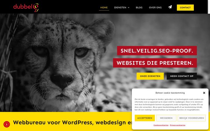 Screenshot di dubbel9.nl