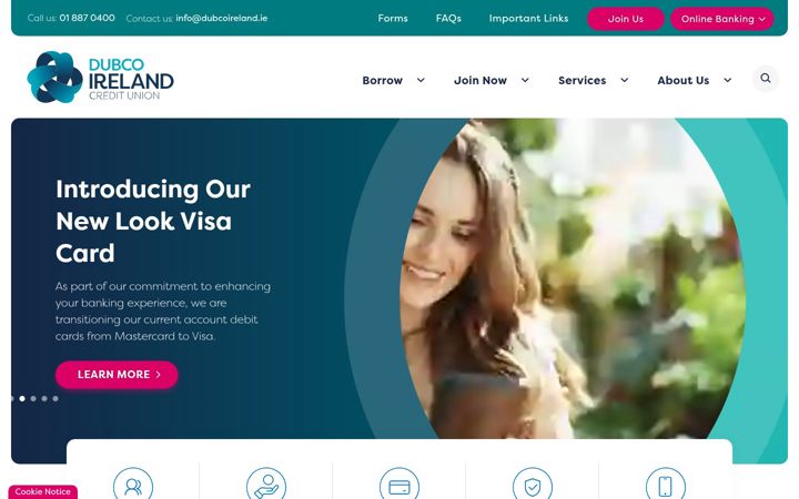 Screenshot of dubcoireland.ie