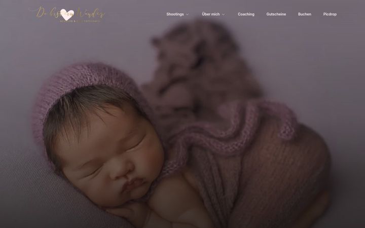 Screenshot of dubisteinwunder.de