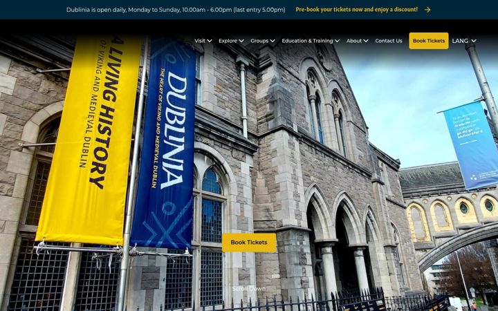 Snímek obrazovky dublinia.ie