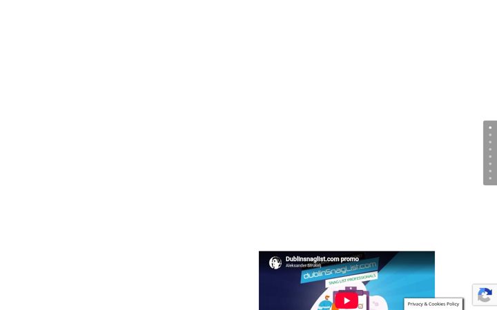 Screenshot of dublinsnaglist.com