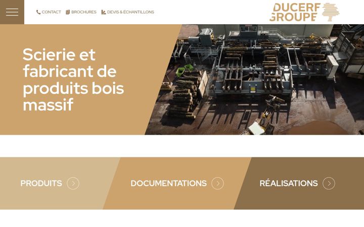 Screenshot of ducerf.com
