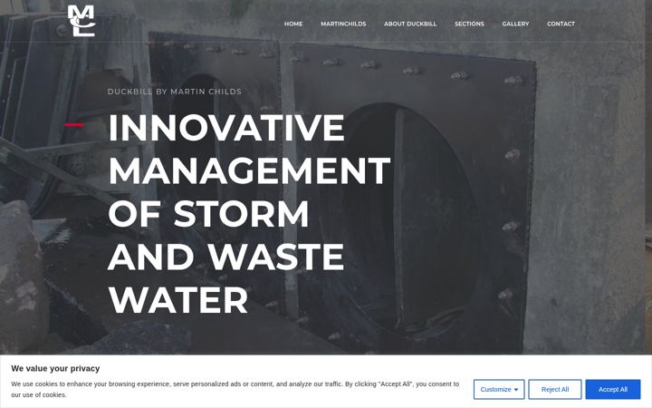 Screenshot stránky duckbill-check-valve.co.uk
