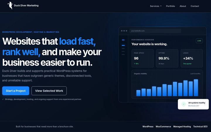 Screenshot of duckdiverllc.com