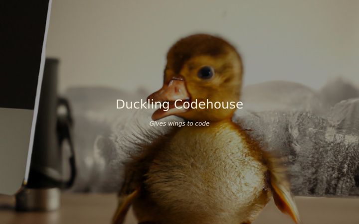 Screenshot di duckling.fi