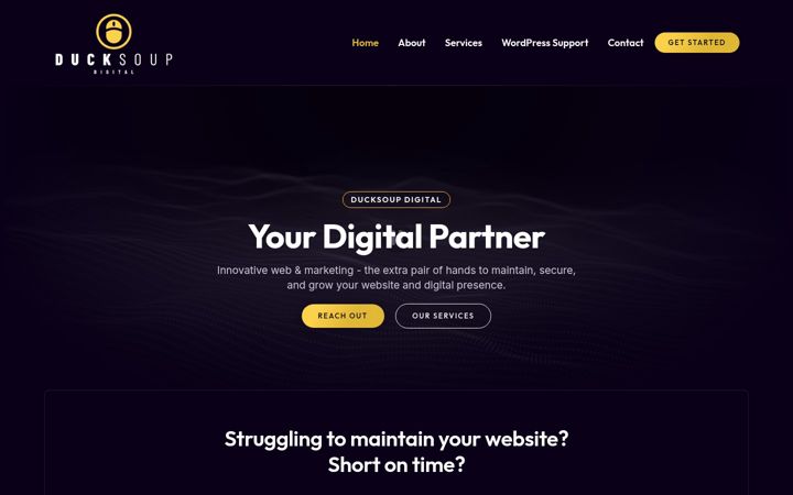 ducksoupdigital.co.uk