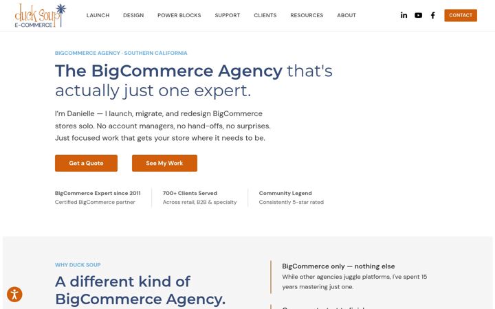 Screenshot of ducksoupecommerce.com