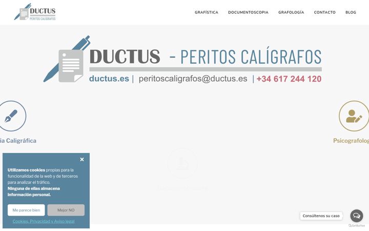 Captură de ecran a ductus.es