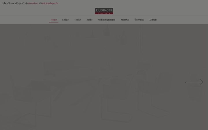 Screenshot of dudinger.de