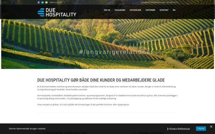 Screenshot of duehos.com