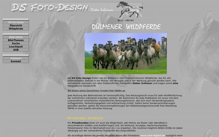Screenshot of duelmener-wildpferde.de