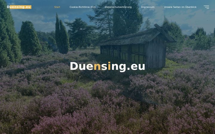 Ekraanipilt saidist duensing.eu