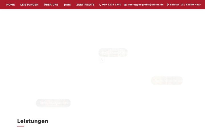 Snímek obrazovky dueregger.de