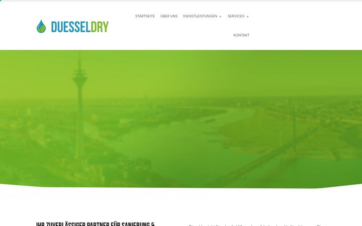Screenshot ta' duesseldry.de